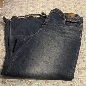 Womens american eagle jeans size 20 long